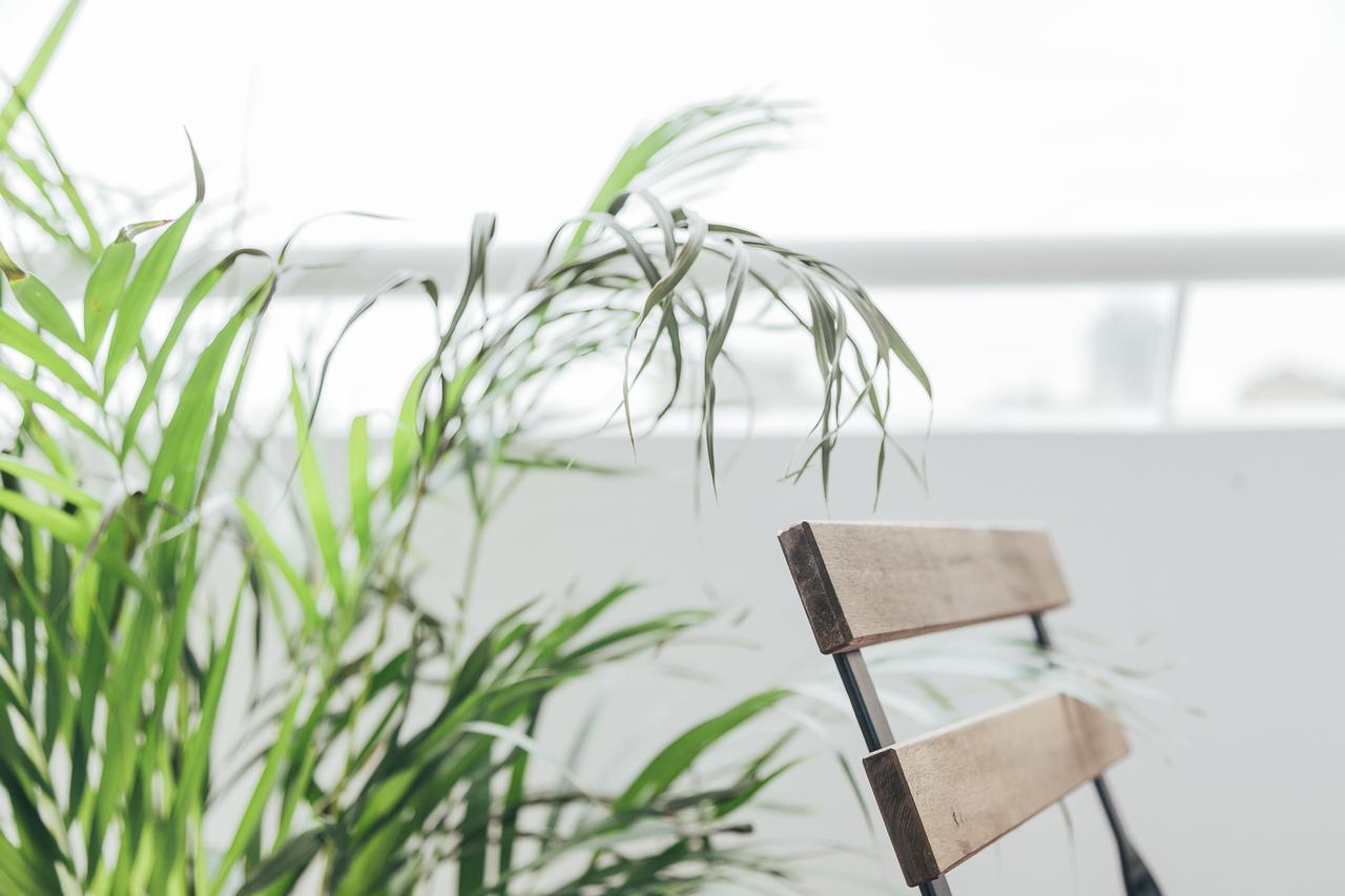 Old Town View Apartment 부쿠레슈티 외부 사진